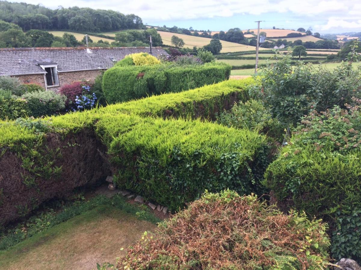Holbeton The Grange Accommodation, Waye Farm, Ermington, Devon المظهر الخارجي الصورة